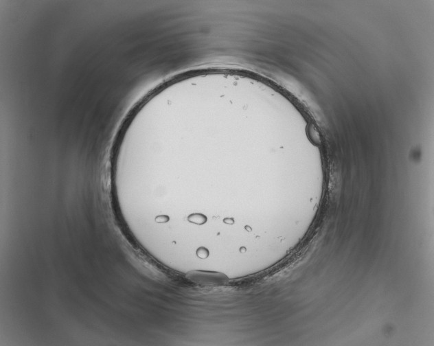 X0000116891372201001191756