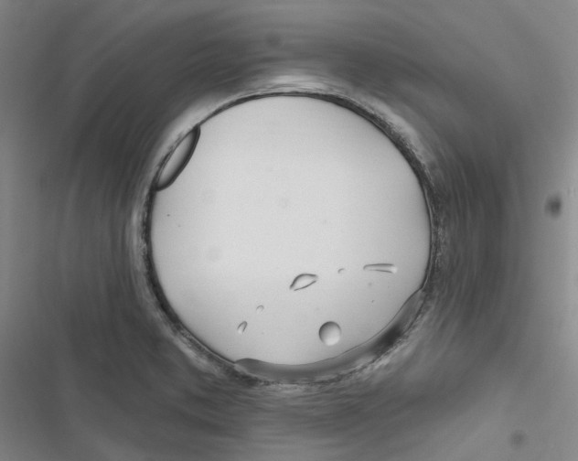 X0000116891373201001191756