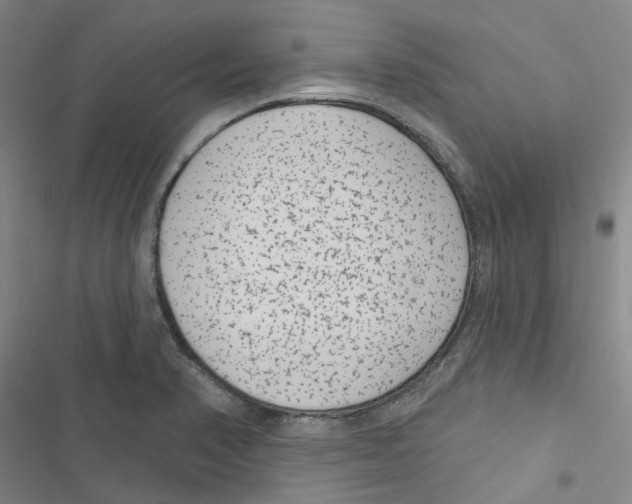 X0000116891374201001191756