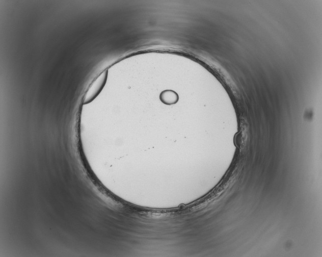 X0000116891375201001191756