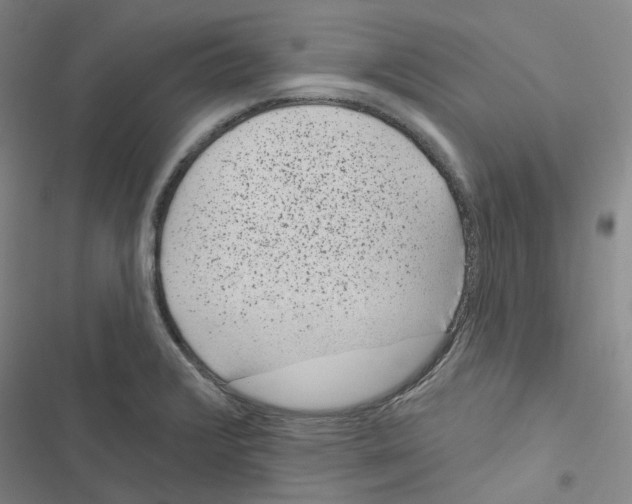 X0000116891376201001191756