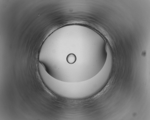 X0000116891377201001191756