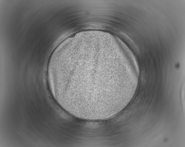 X0000116891378201001191756