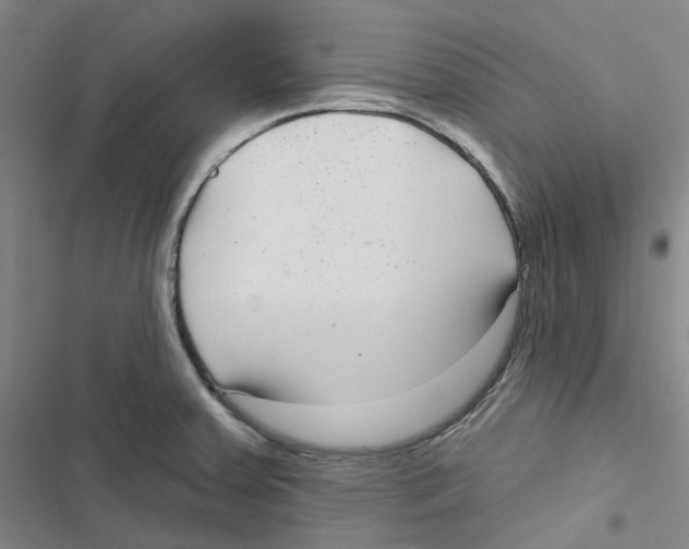 X0000116891379201001191756