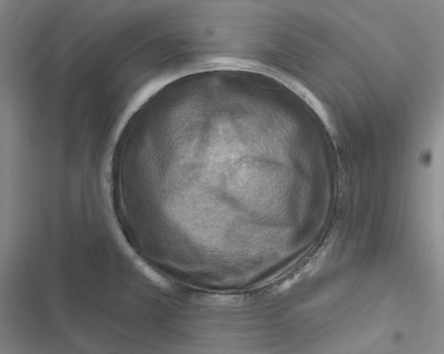 X0000116891381201001191756