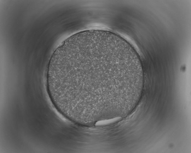 X0000116891383201001191756