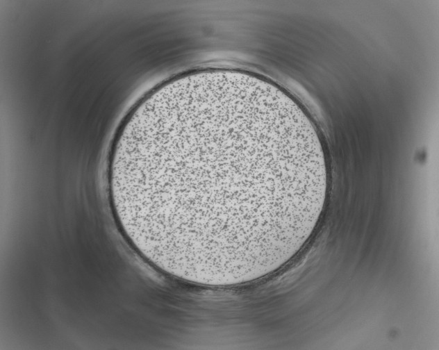 X0000116891384201001191756