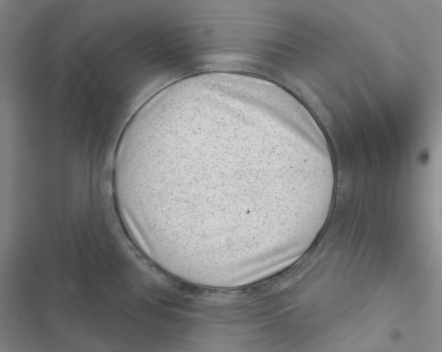 X0000116891386201001191756