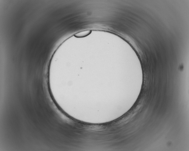 X0000116891387201001191756