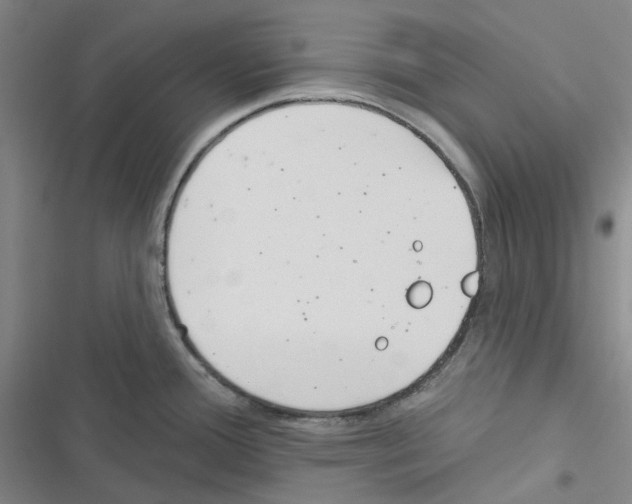 X0000116891388201001191756