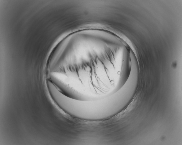 X0000116891389201001191756