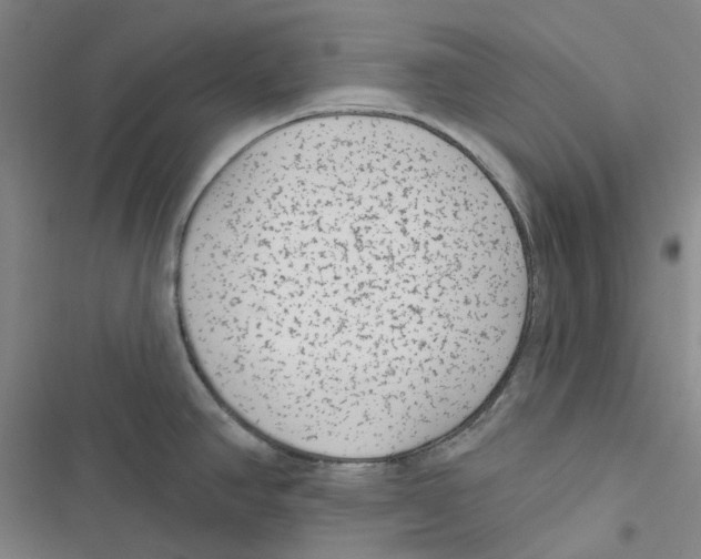 X0000116891390201001191756