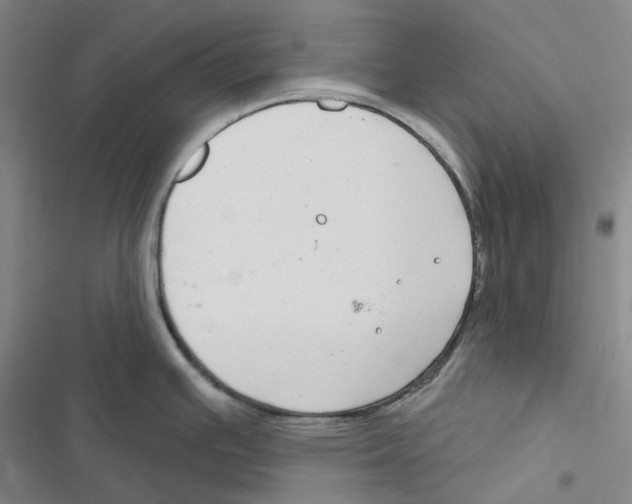 X0000116891391201001191756