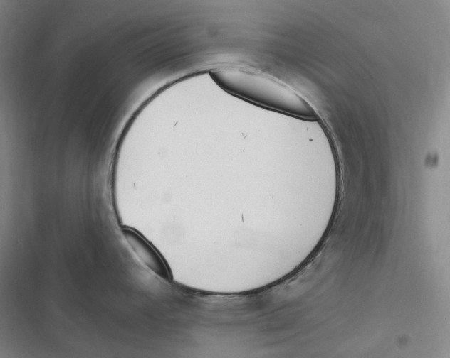 X0000116891392201001191756