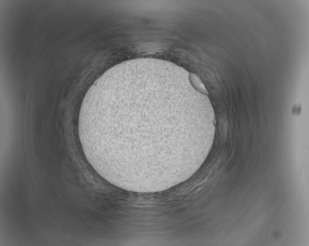 X0000116891393201001191755