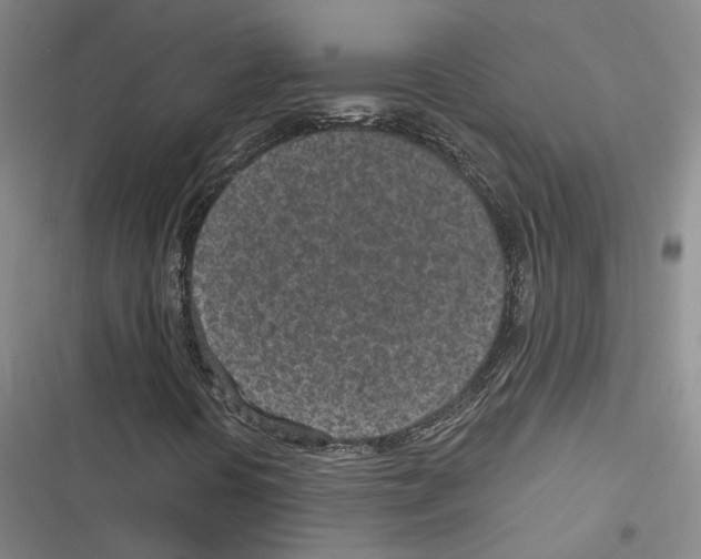 X0000116891394201001191755