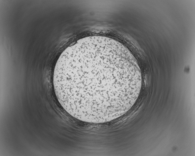 X0000116891396201001191755