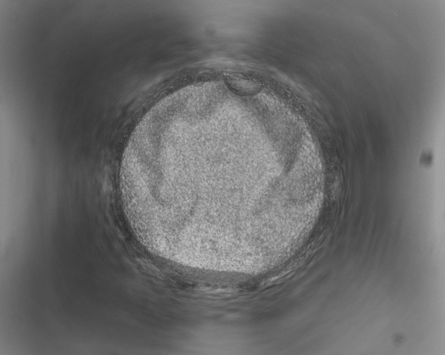 X0000116891397201001191755