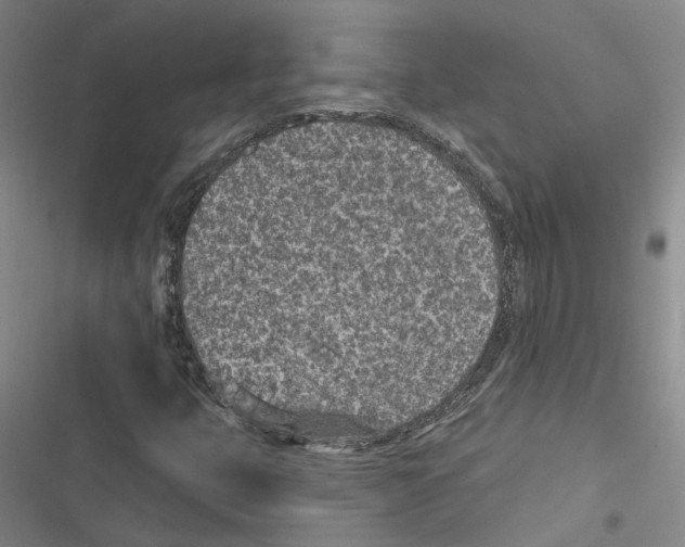 X0000116891399201001191756