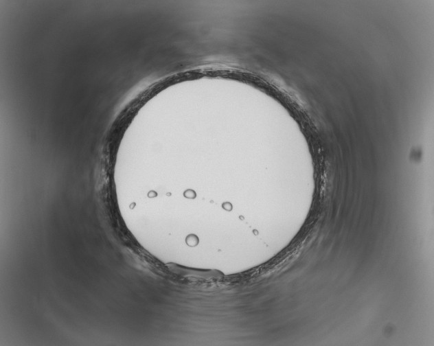 X0000116891400201001191756