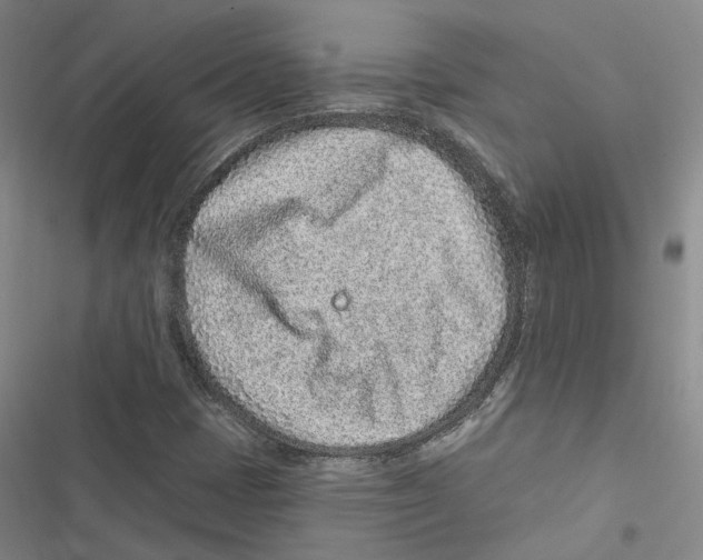 X0000116891401201001191756