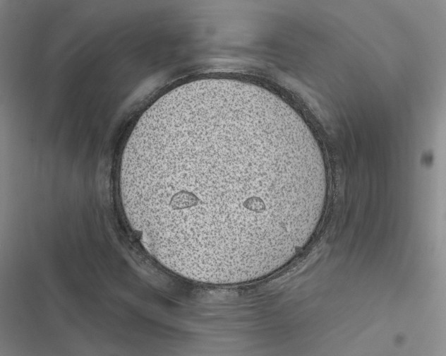 X0000116891403201001191756