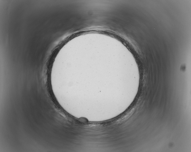 X0000116891406201001191756