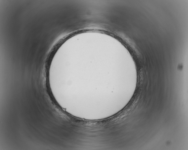 X0000116891408201001191756