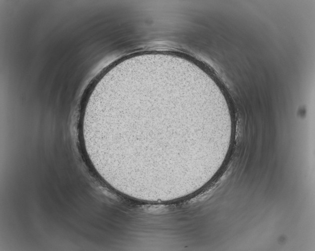 X0000116891410201001191756