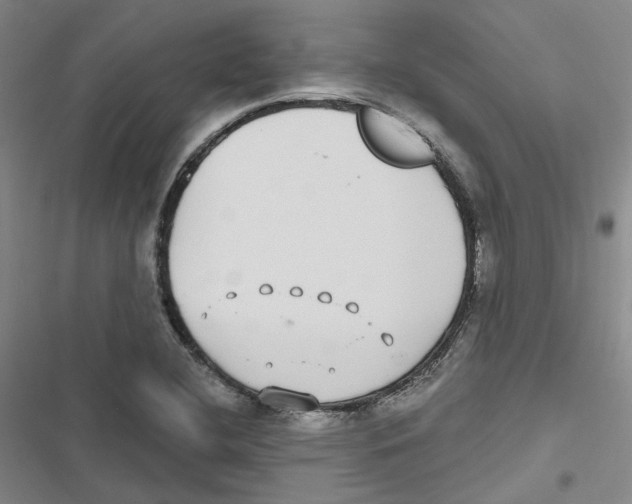 X0000116891412201001191756