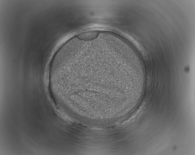 X0000116891413201001191756