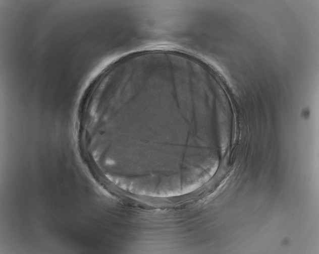 X0000116891414201001191756