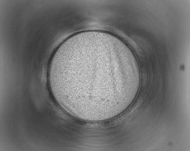 X0000116891415201001191756