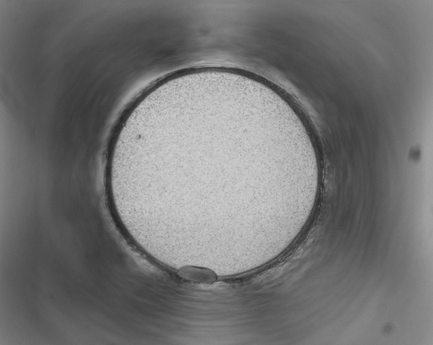 X0000116891416201001191756