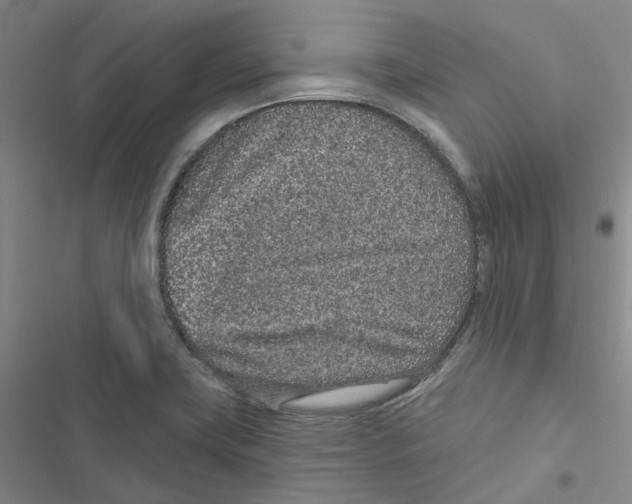 X0000116891419201001191756