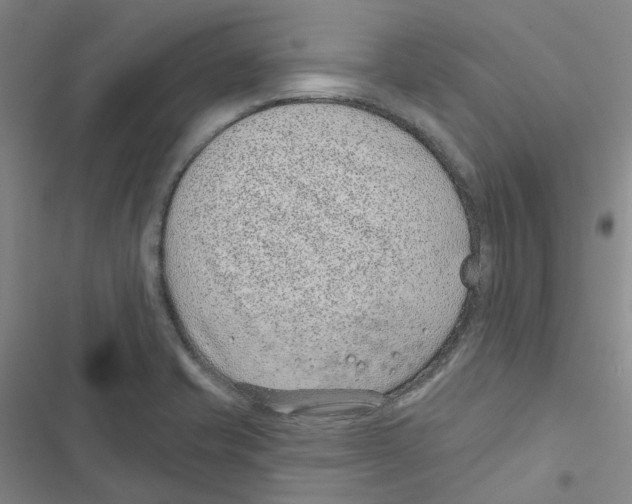 X0000116891421201001191756