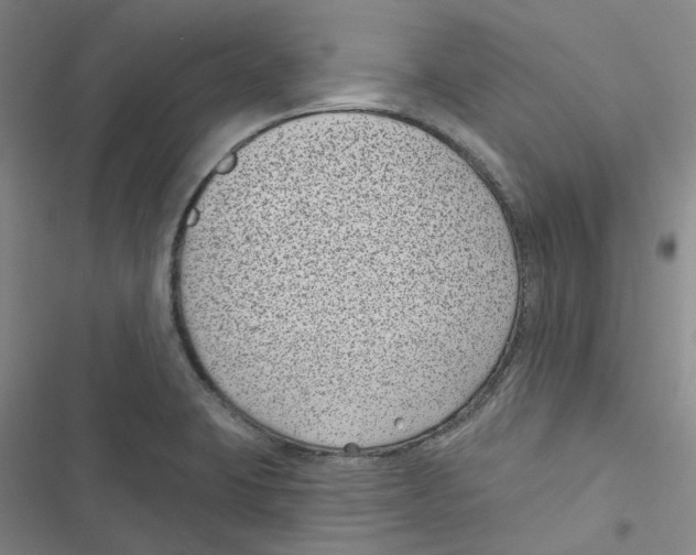 X0000116891423201001191756