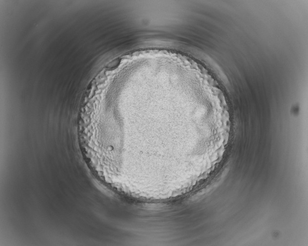 X0000116891425201001191756