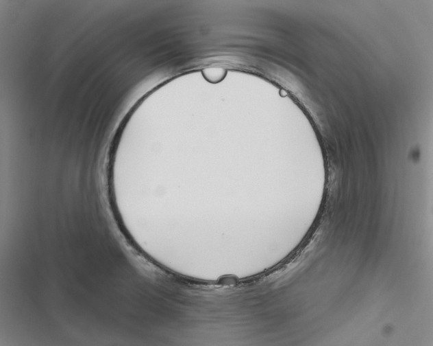 X0000116891426201001191756