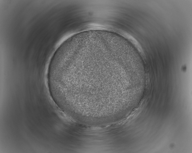 X0000116891427201001191756