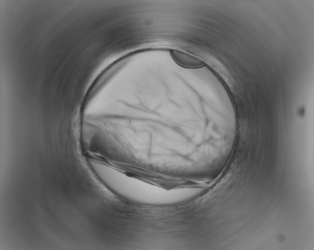 X0000116891428201001191756