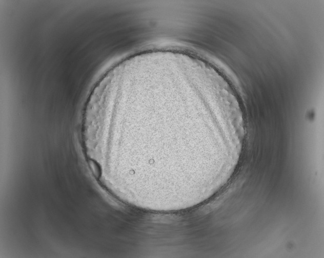 X0000116891429201001191756