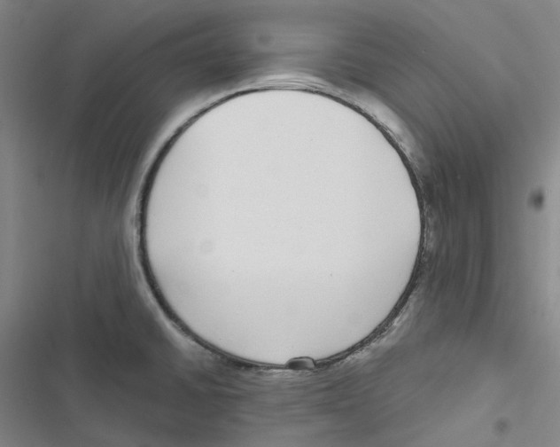 X0000116891430201001191756