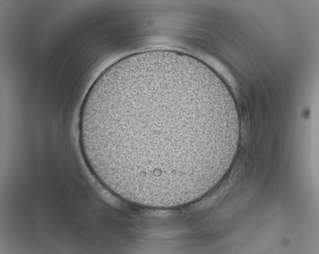 X0000116891431201001191756