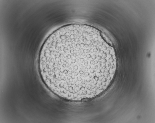 X0000116891432201001191756