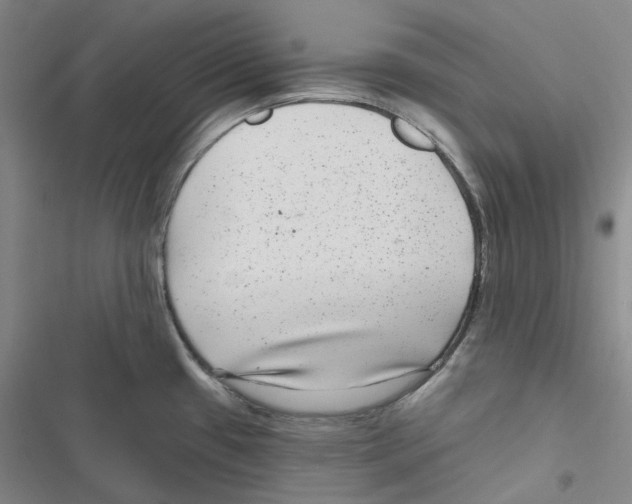 X0000116891433201001191756