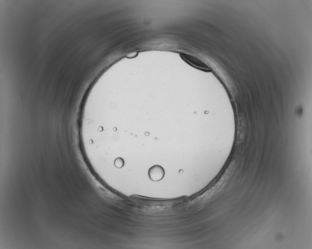 X0000116891434201001191756