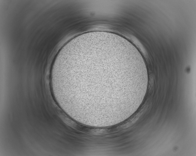 X0000116891435201001191756