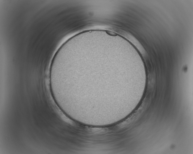 X0000116891436201001191756