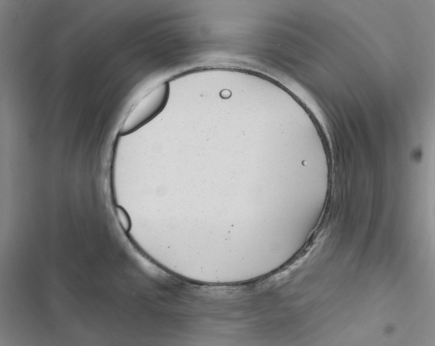 X0000116891437201001191756